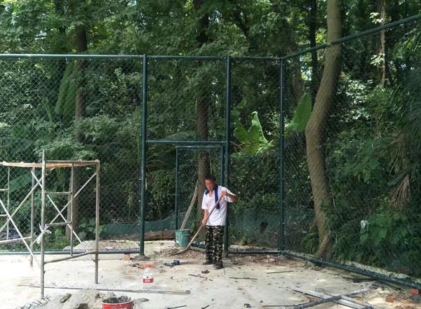 �w�������ھW(w��ng)���b