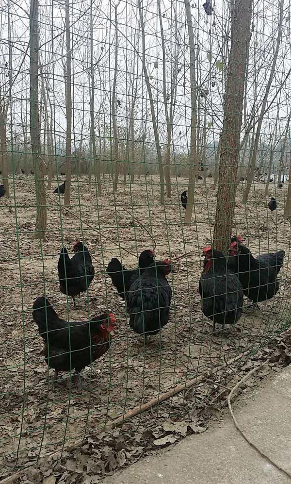 �Ͼ��o�ھW(w��ng)