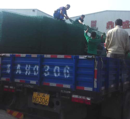 �p߅�z�o(h��)�ھW(w��ng)