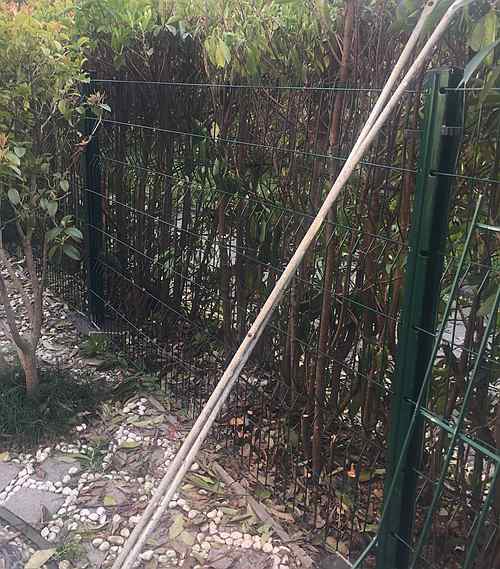 �������o(h��)�ھW(w��ng)�r(ji��)��