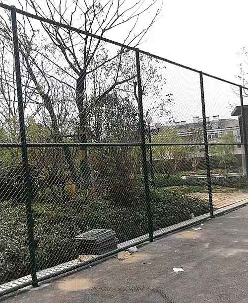 �w����(ch��ng)�o(h��)�ھW(w��ng)