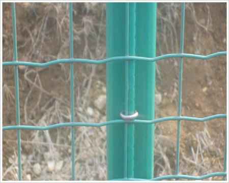 �Ͼ��o(h��)�ھW(w��ng)